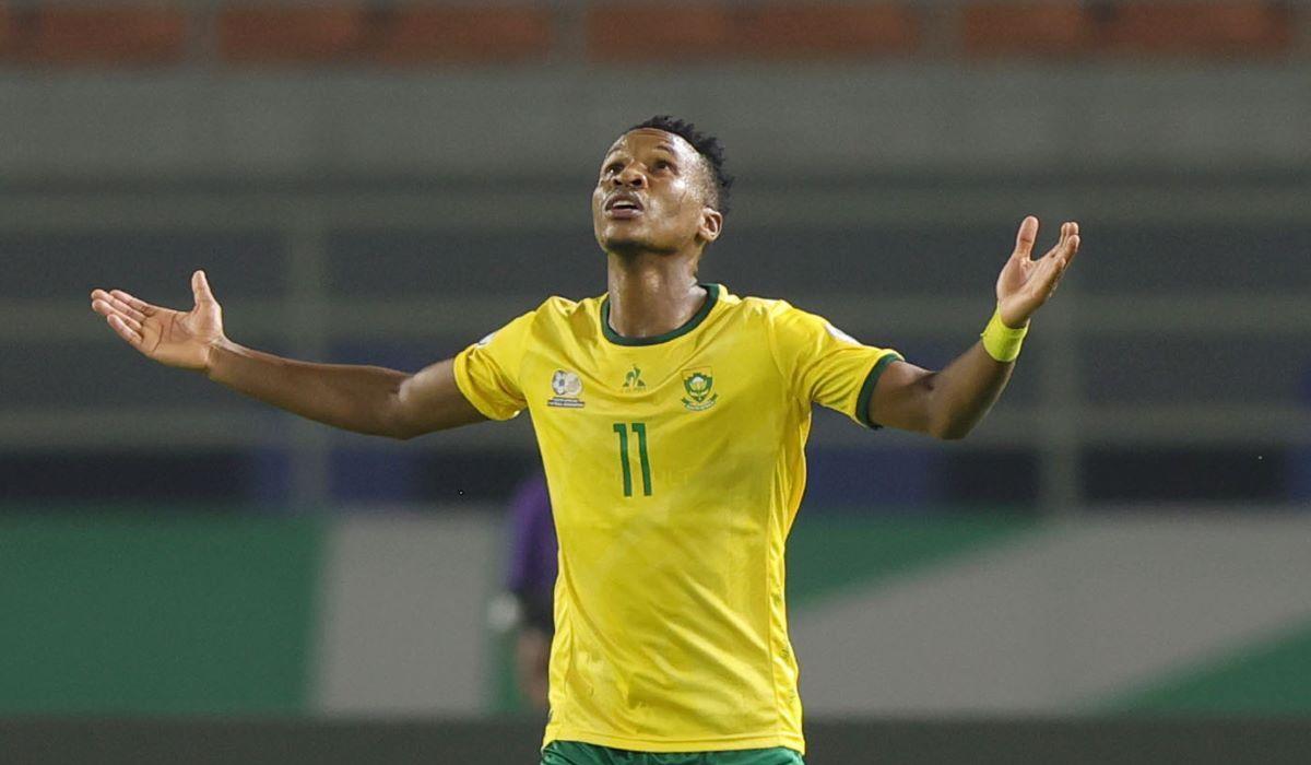 قائمة جنوب أفريقيا لمعسكر مارس تشهد عودة زواني