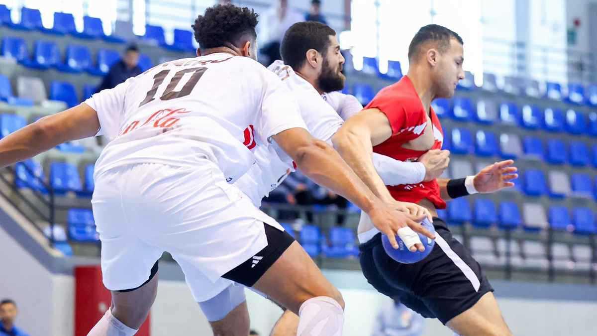 تعرف على جدول ترتيب دوري المحترفين لكرة اليد