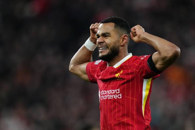 مهاجم ليفربول جاهز لمواجهة نيوكاسل