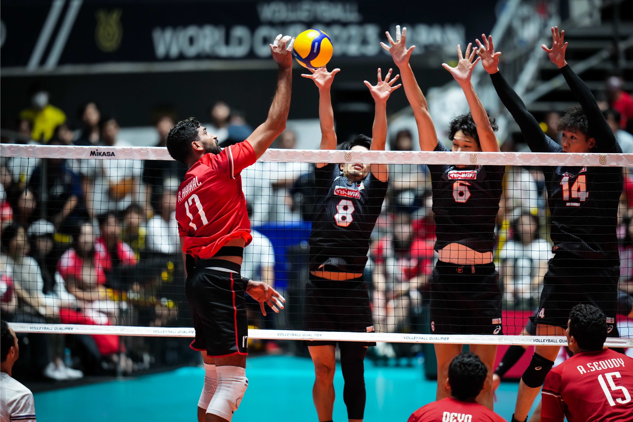منتخب مصر للكرة الطائرة يبدأ مشواره في المونديال بمواجهة إيران