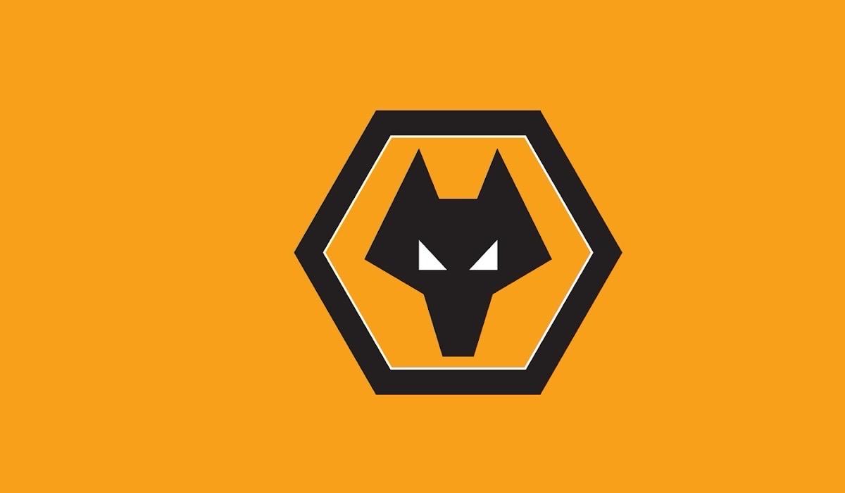 رسمياً.. وولفرهامبتون يهبط بعد 8 سنوات من الأضواء